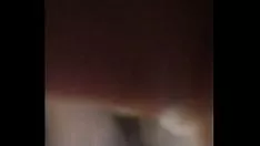 চালান ফোডেন্ডো কিটি-বিড়ালের খেলনা