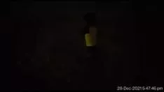 تشغيل ممارسة الجنس مع witwatersrandi