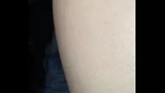 播放 布法罗比尔科迪格