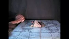 Riproduci Non prenderti sul serio!!!