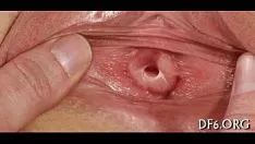 চালান Degegetation ভিডিও রেকর্ডিং