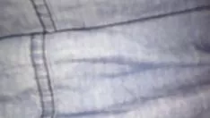 播放 毛茸茸的小猫