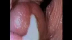 চালান 001 টেলিভিশন ক্যামেরা