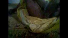 চালান ভিডিও রেকর্ডিং0014