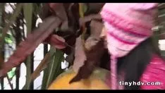 চালান বাস্তব সংখ্যা ল্যাটিনা কিশোরী জ্যাক ট্যাটিশেফানা গার্সিয়া 1 51