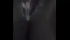 Putar Lihat saya jempol kucing-kucing saya