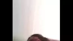 Redare Înregistrare video 3