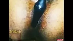 Play Smooth-haired knuckle down use toy in asshole out