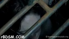 চালান সংরক্ষিত হেলোট আবেগপ্রবণ t কে স্বাগত জানায়। তার খারাপ কুকির জন্য